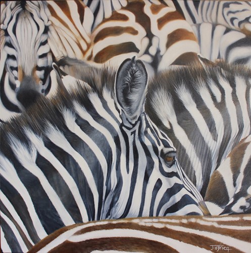 Zebra Crossing