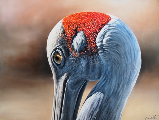 Natural Symmetry (Brolga)