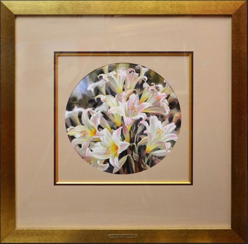 Bella Donna Lillies