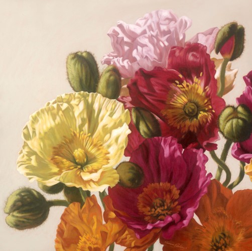 Poppies 1017