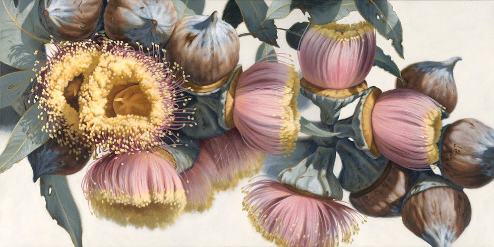 Youngiana Gum Flowers 2116