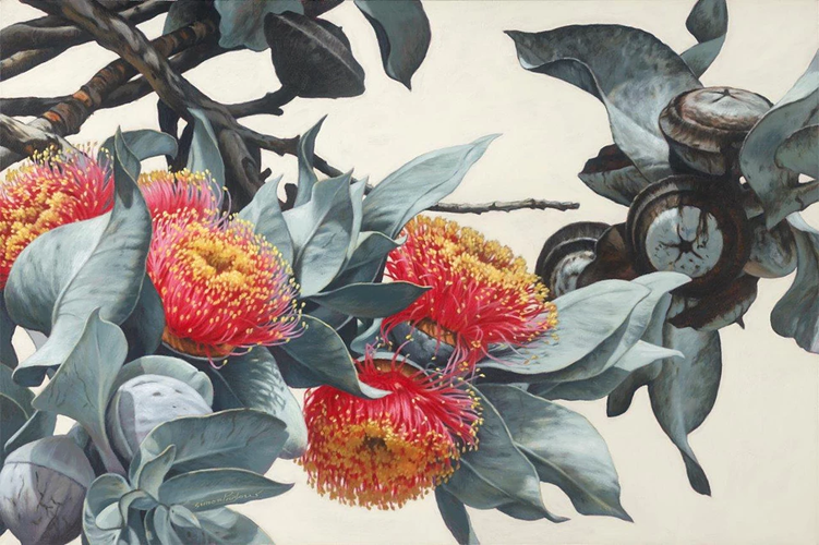 Macrocarpa XIV
