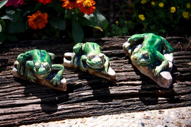 Garden Frogs