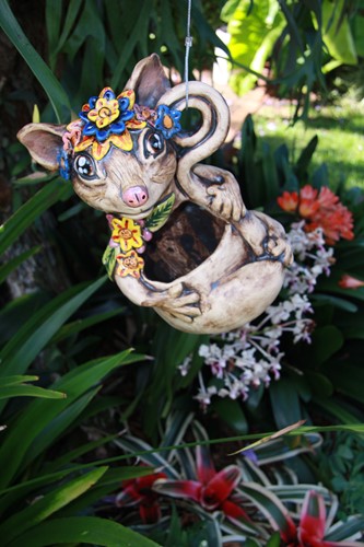 Possum Large 1