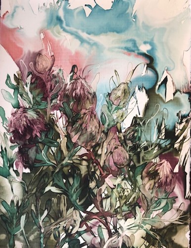 Protea