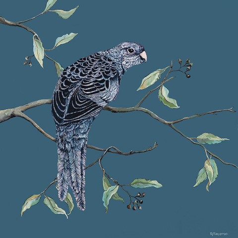Feathered Friend