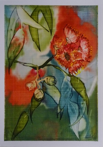 Red Flowering Gum II