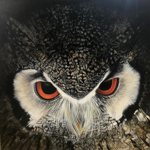 Eye Spy
