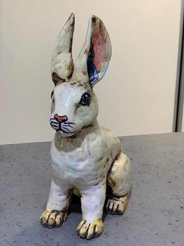 Baby Hare