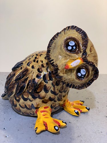 Curious Owl