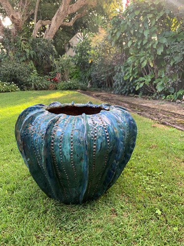 Sea Urchin Pots