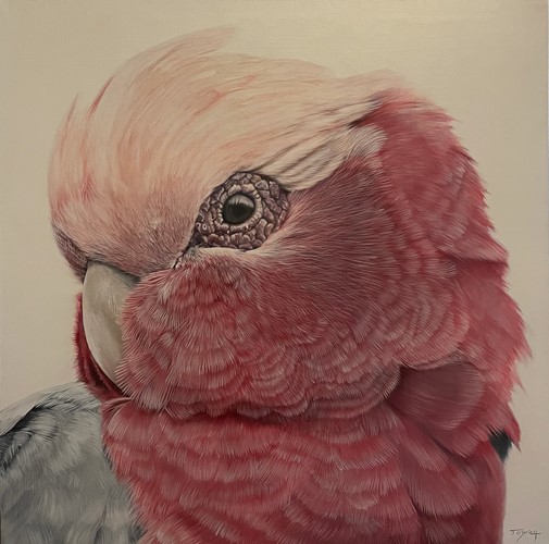 Cheeky Pink