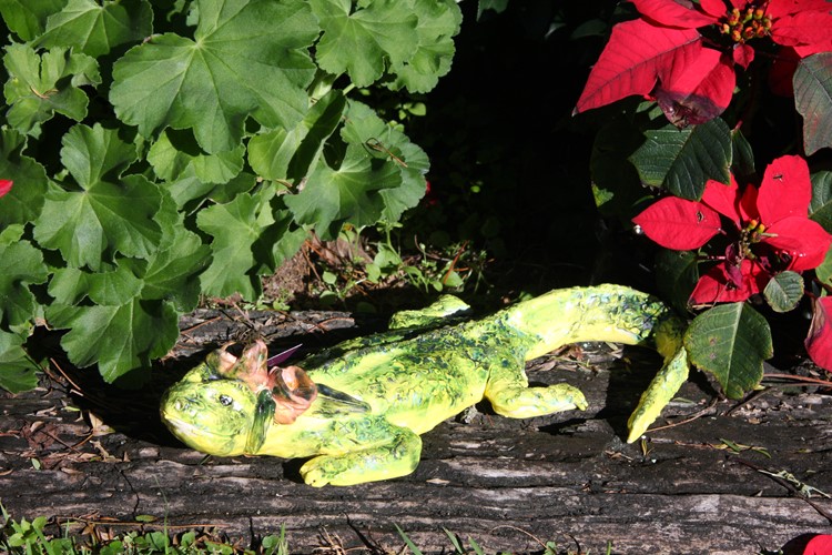 Medium Lizard