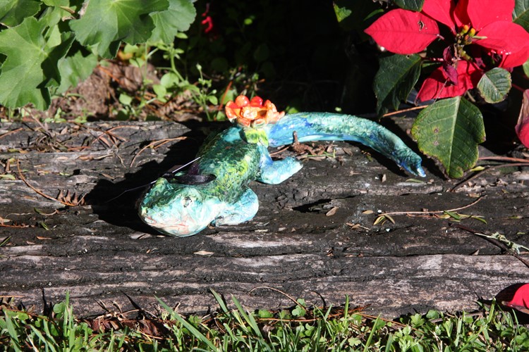 Extra Small Lizard
