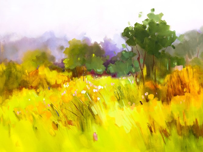 Meadow of Flowers