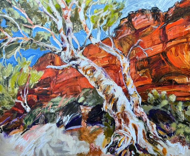 Trephina Gorge