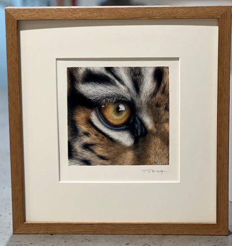 Eye of the Tiger