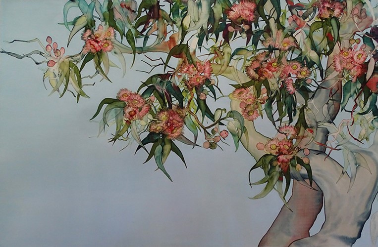 Flowering Gum