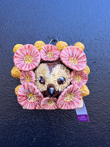 Wall Hanging Planter Owl