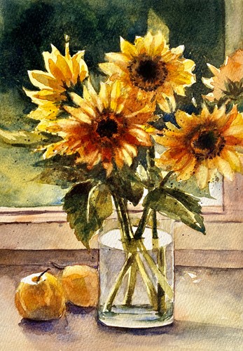 Backlit Sunflowers