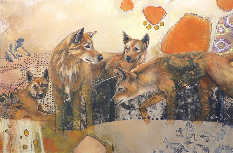 The Outsiders - Australian Dingo
