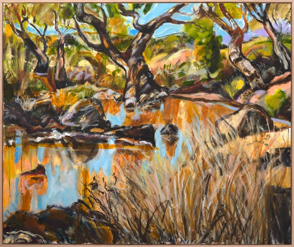 Mount Denison Road NT