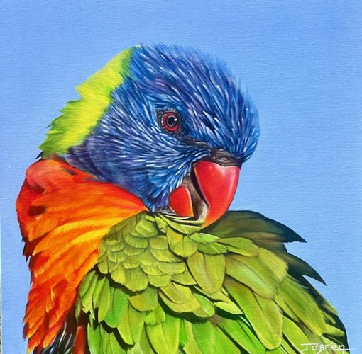Rainbow Lorikeet