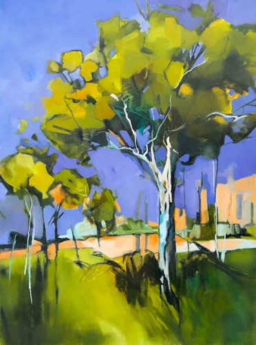 Light and Limb
