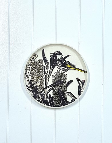 White Cheeked Honeyeater Plate