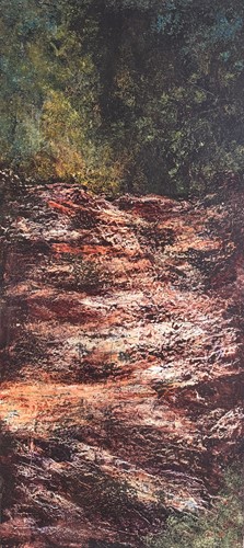 Bush Track with Rock