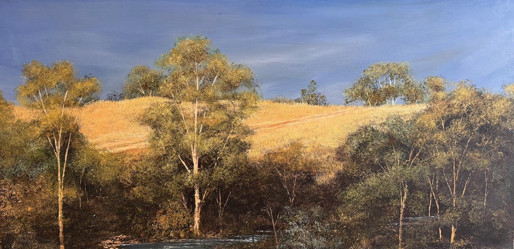 Sunlight on the Hill, Shadows on the Gully 