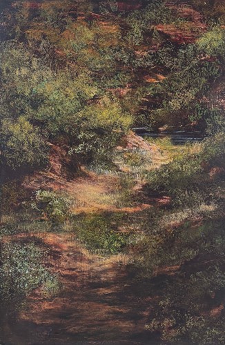 Sunliight on the Path