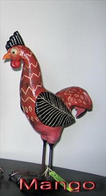 Mango - Chook