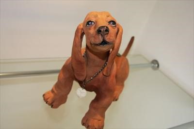 Cindy Dog