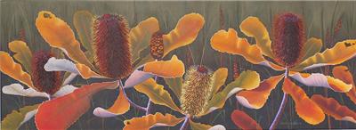 Christopher Hooper