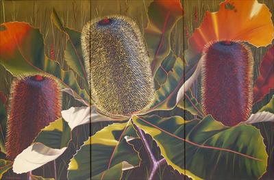 Christopher Hooper