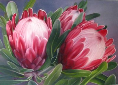 Jan Hodgson