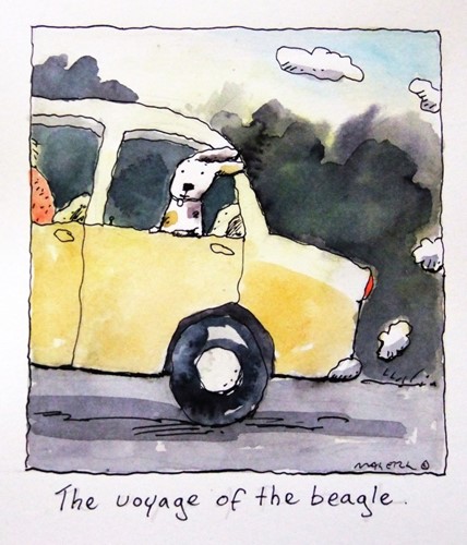 The voyage of the beagle
