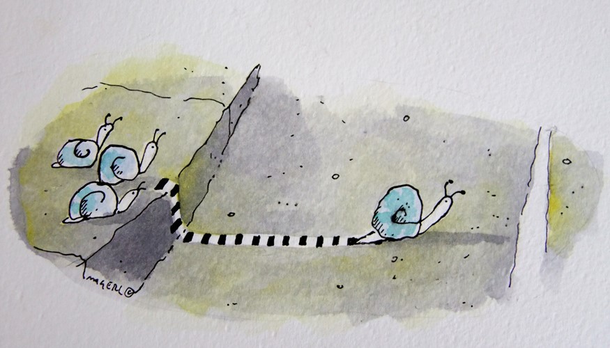 Snail Crossing