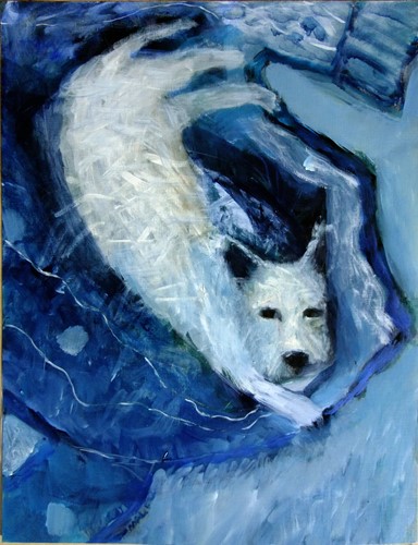 Dog on a Dressing Gown