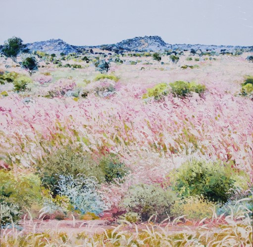 Midday at Bullagai