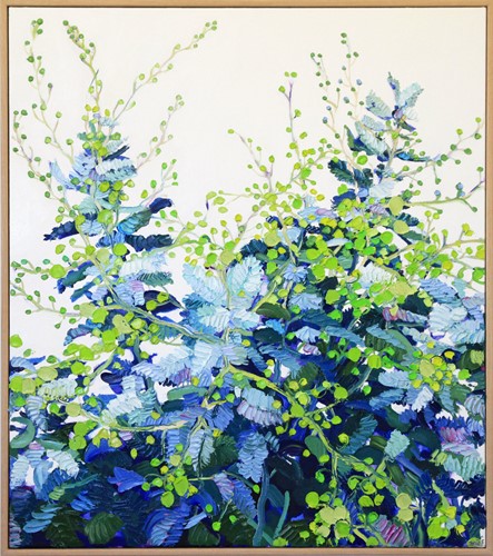 Wild Acacia