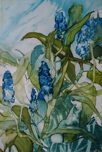 Blue Ginger