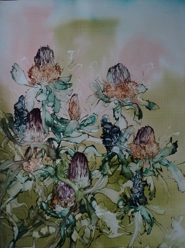 Banksia Menzies Bush