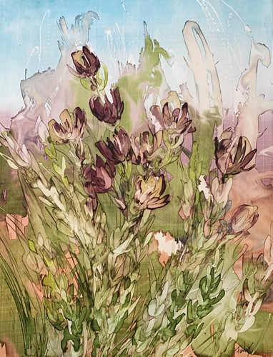 Leucadendron Brush