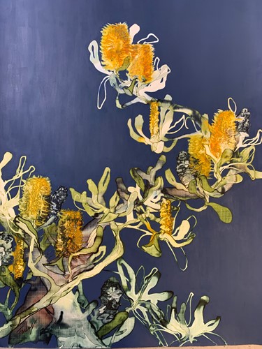 Sunlit Banksia