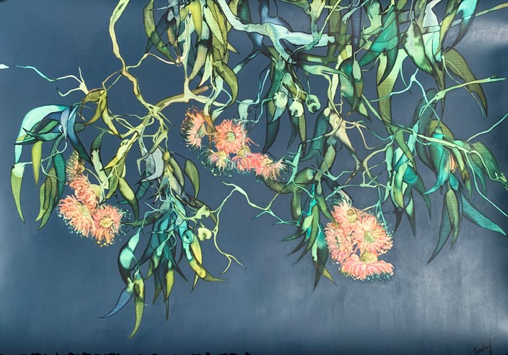 Pink Flowering Eucalypt on Blue