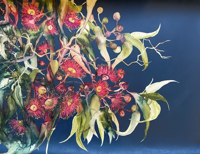 Australian Flowering Gum
