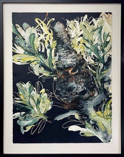 Banksia Pod