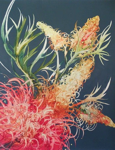 Grevillea
